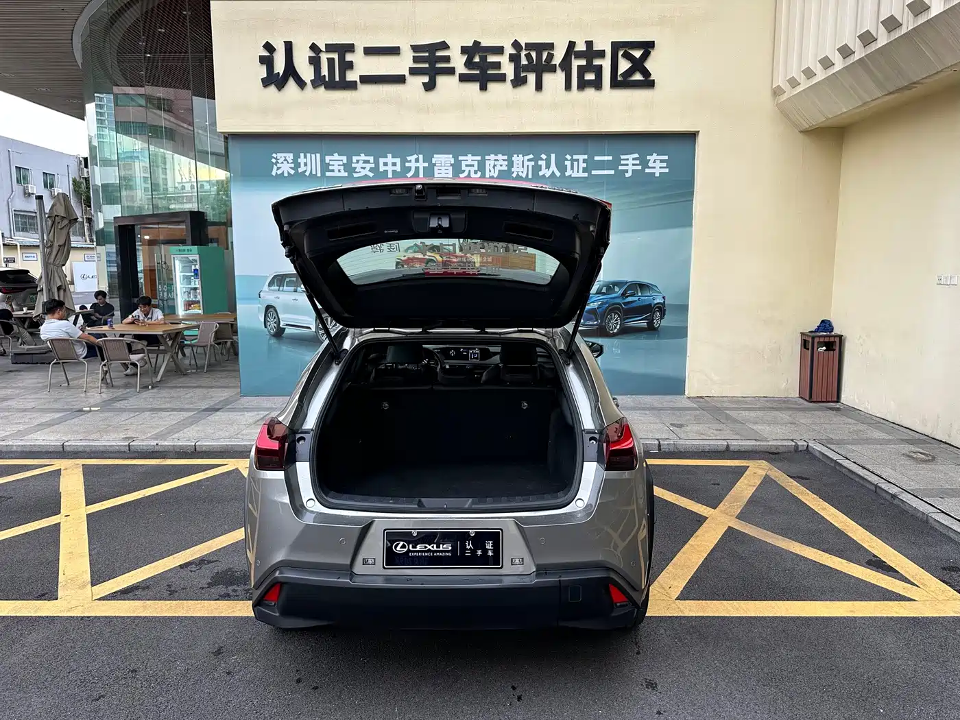 Lexus UX Electric 2021 2020 300e Pure Yue Edition