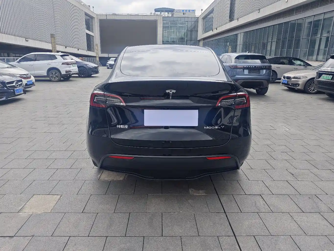 Tesla Model Y 2021 2021 Long Range All-Wheel Drive 3D7