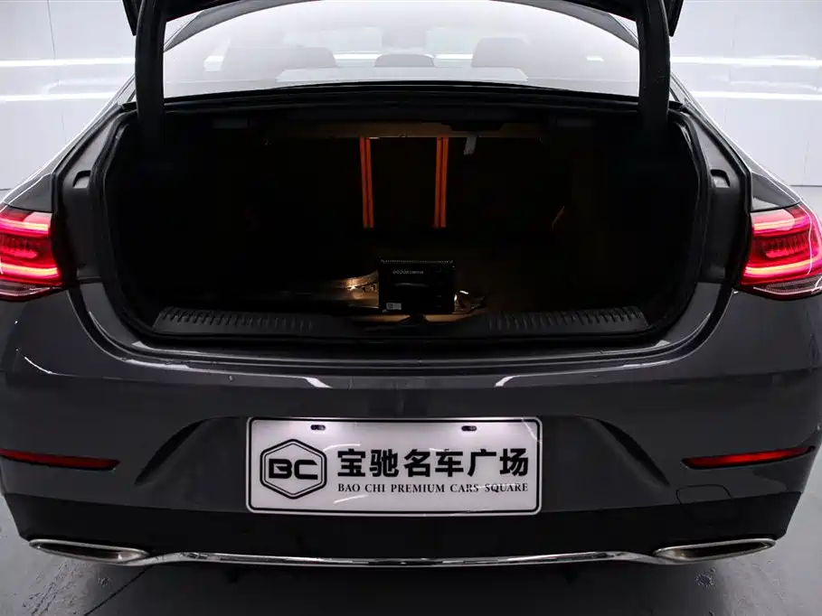 Mercedes-Benz CLS 2022 CLS 300 Luxury фото 15