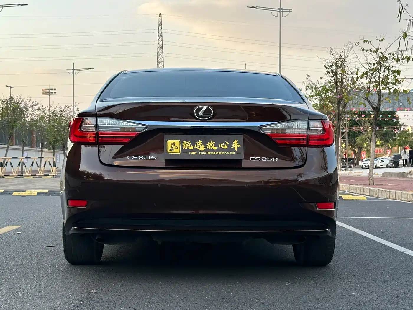 Lexus ES 2015 250 Elegance Edition фото 6