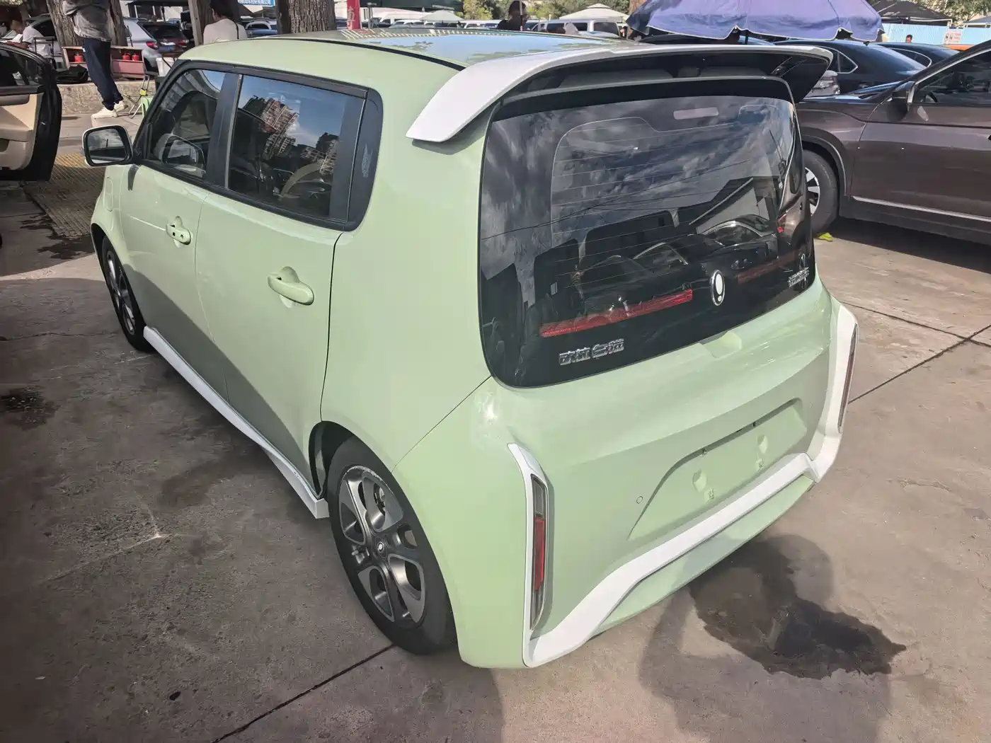 Ora White Cat 2021 2020 401km Flagship Model