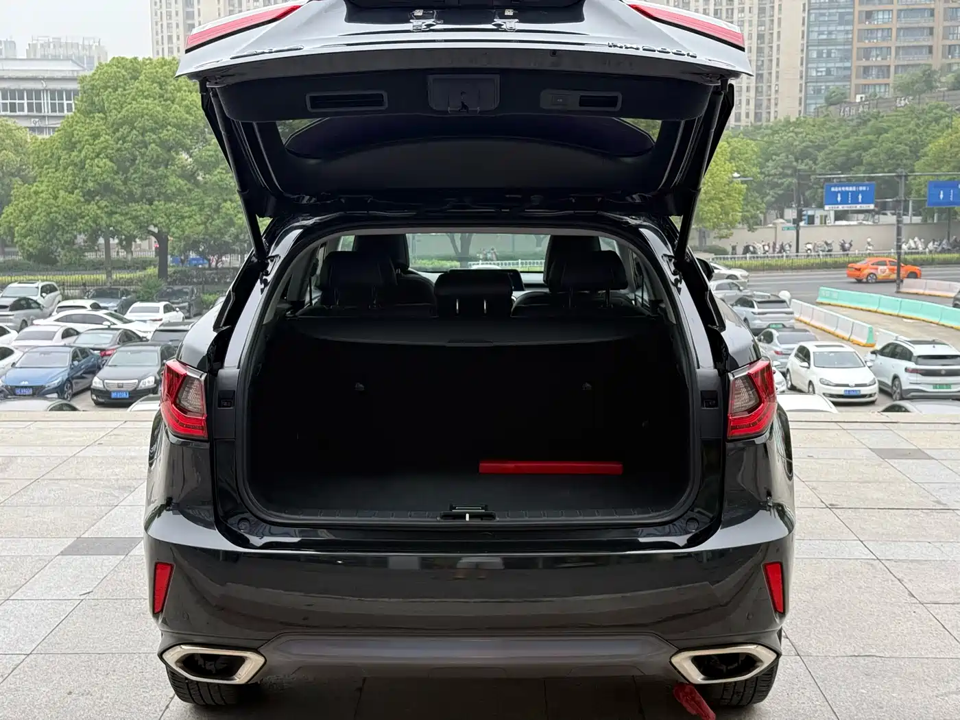 LEXUS RX