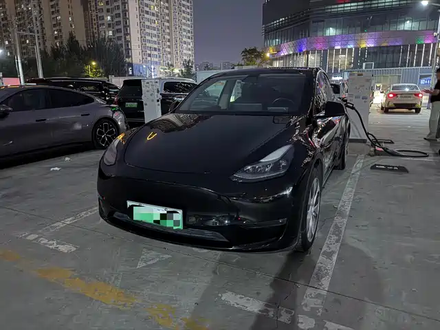 Tesla Model Y Стандартный запас хода, задний привод