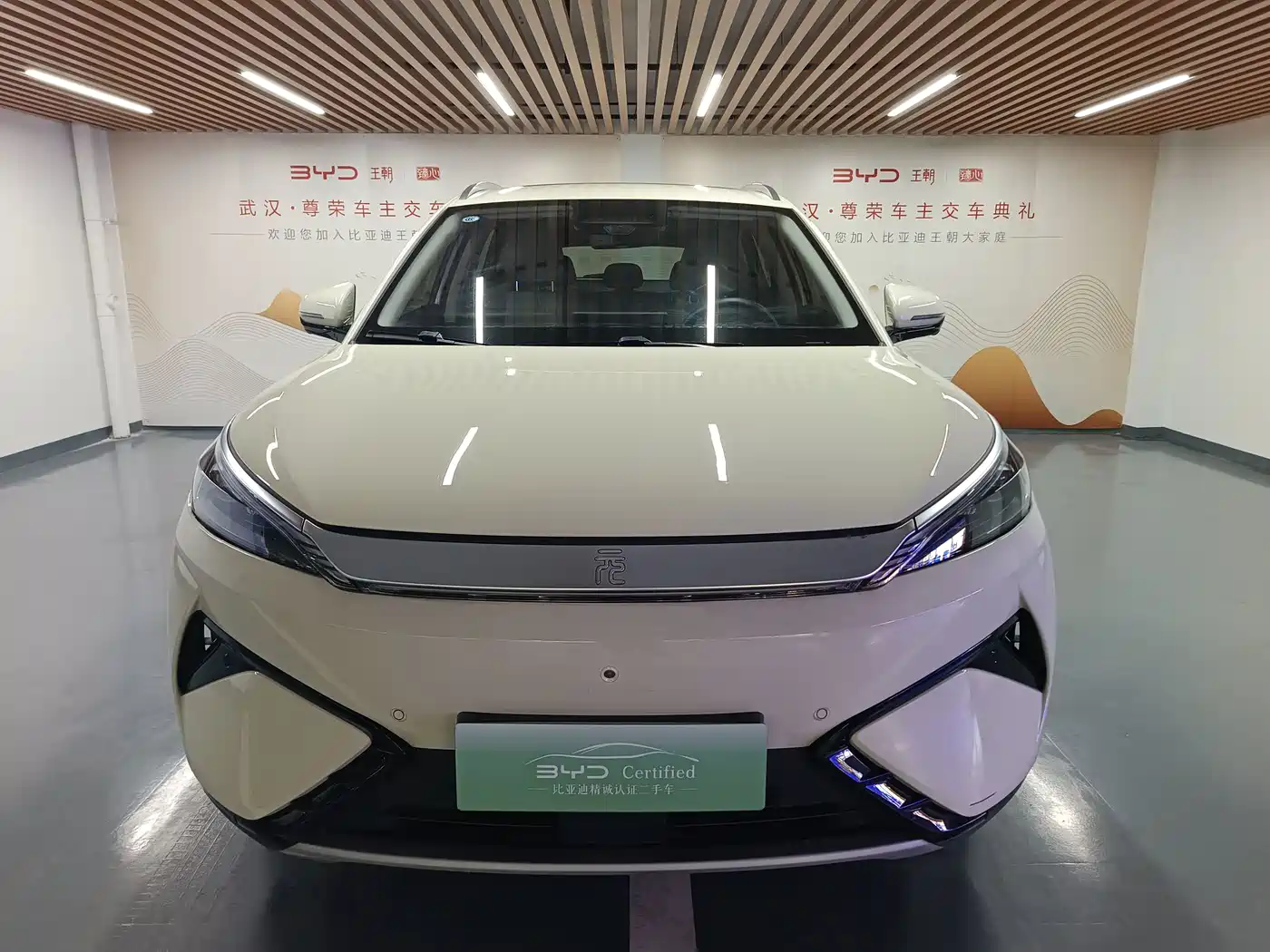 BYD Yuan PLUS 2025 2025 Smart Drive 510KM Surpass Edition