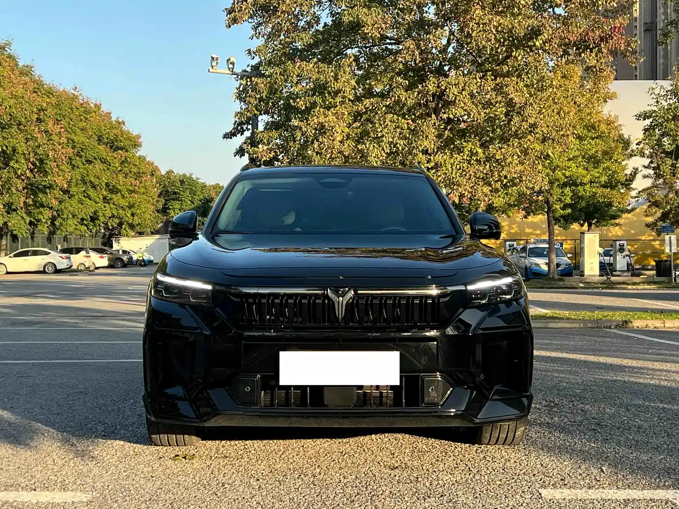 Voyah Auto VOYAH FREE 2025 318 318km RWD Touring Edition фото 3