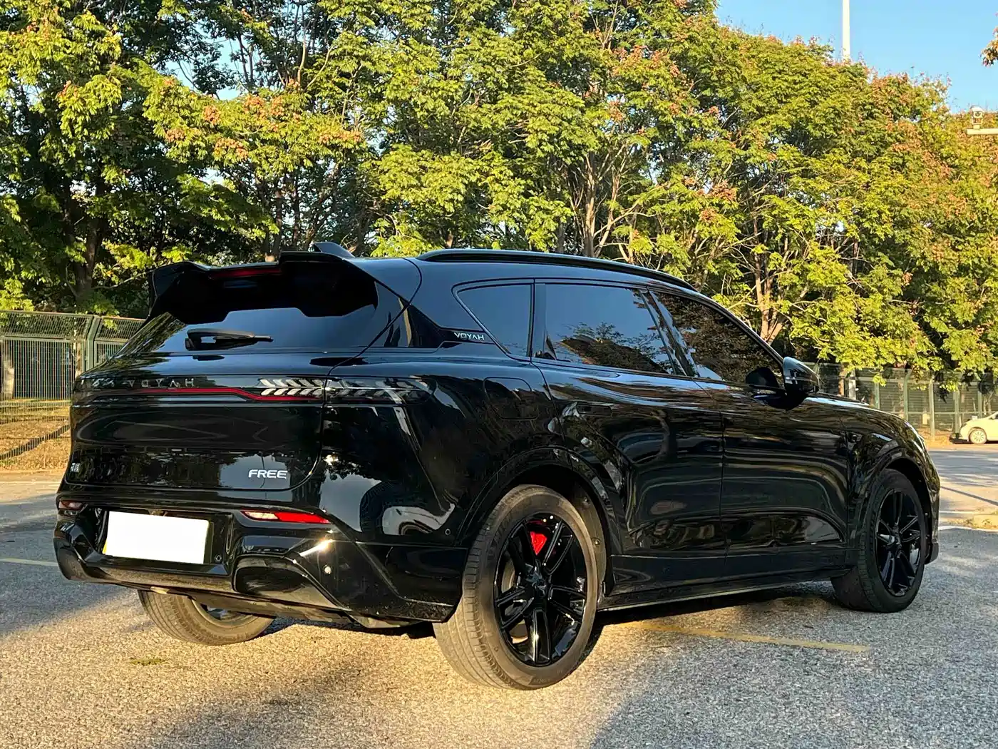 Voyah Auto VOYAH FREE 2025 318 318km RWD Touring Edition фото 15