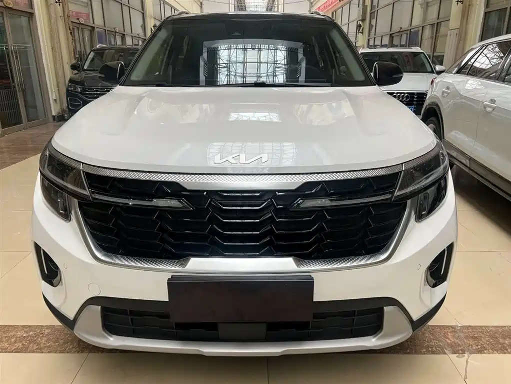Kia Seltos 2023 1.5L CVT Luxury Edition фото 2