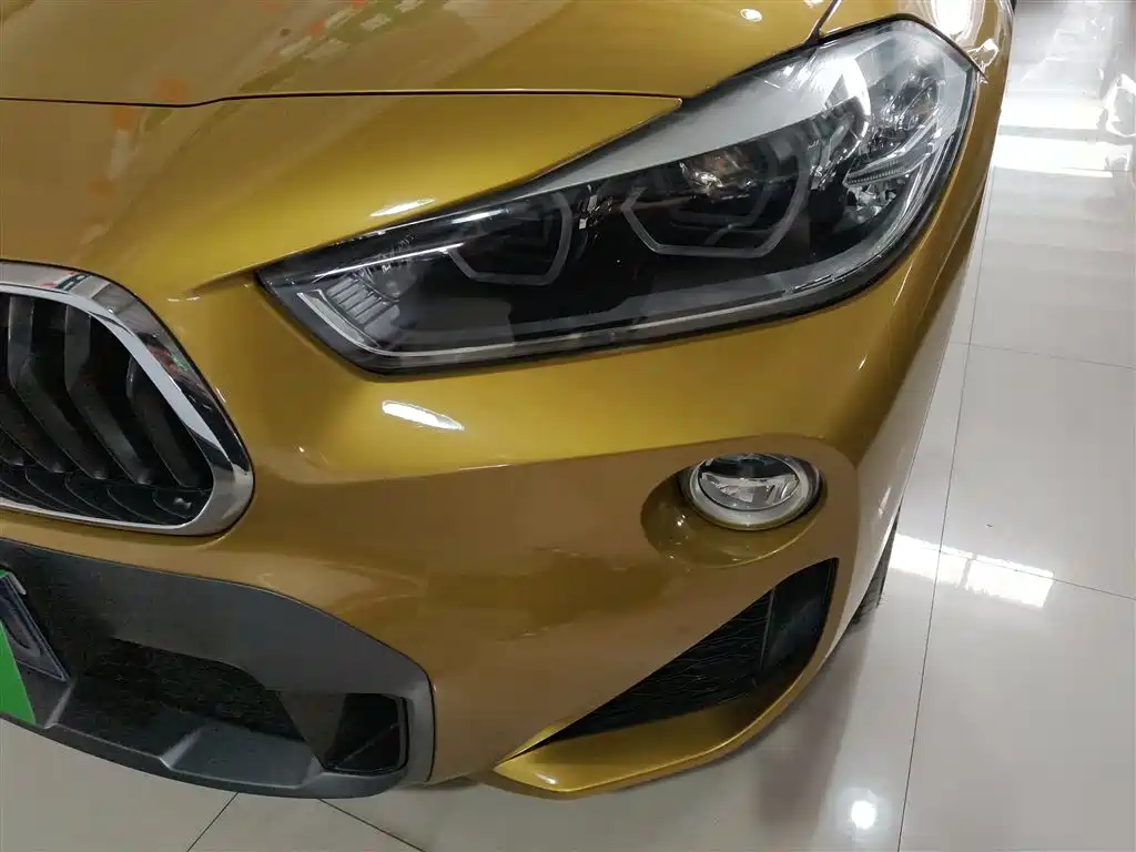 BMW X2 (Import) 2019 sDrive20i M Off-Road Package China VI фото 24