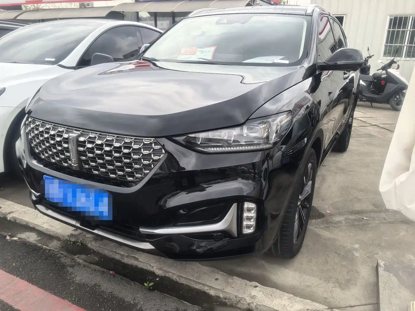 WEI PAI WEI BRAND VV6