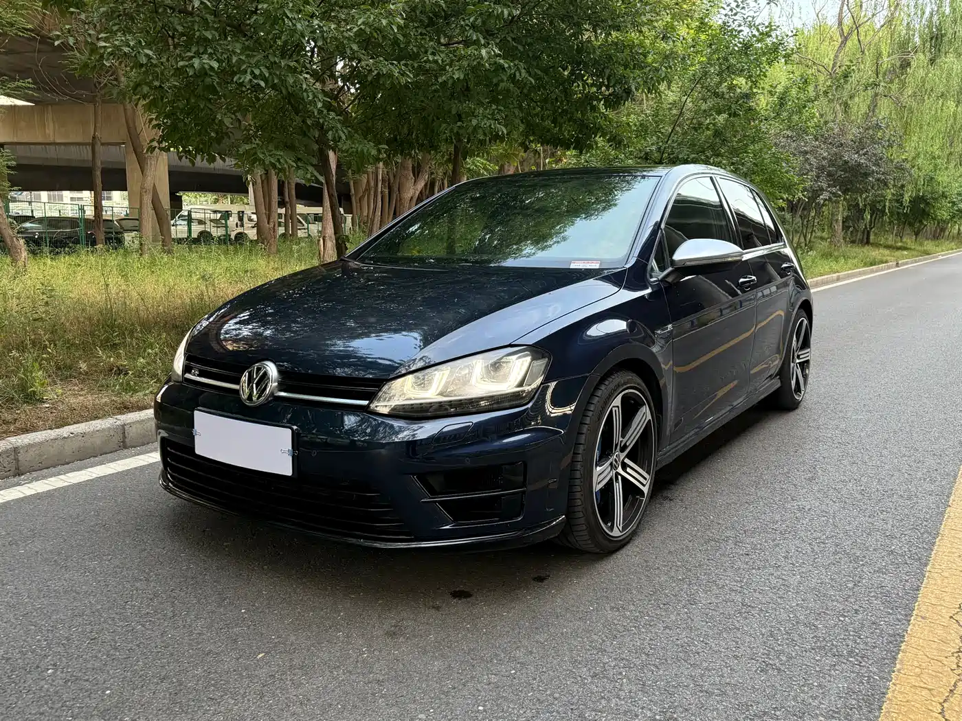 Volkswagen Golf (Import) 2015 2.0TSI R фото 2