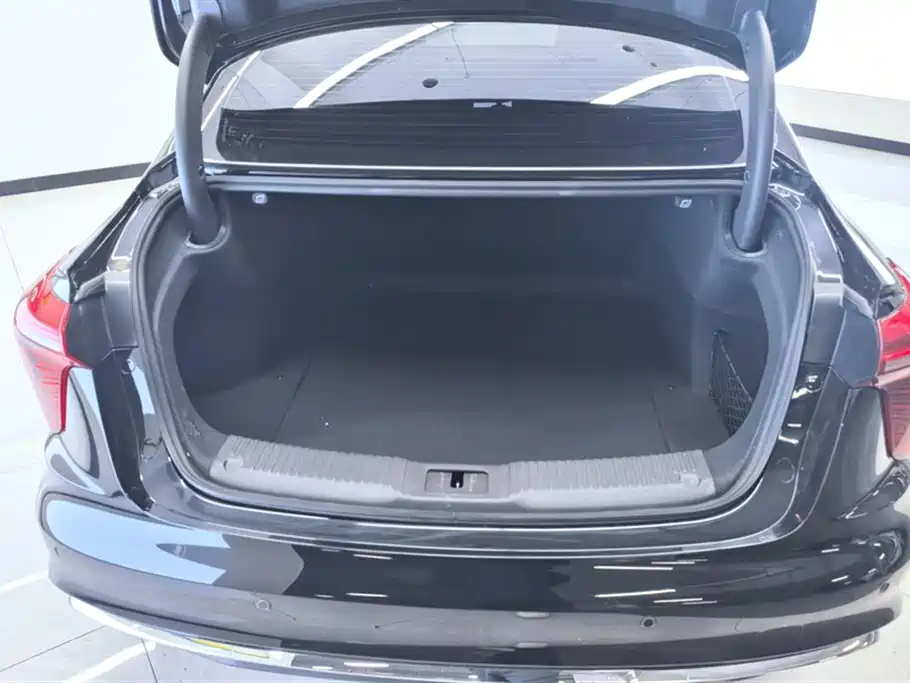 Hongqi H5 2024 1.5T DCT Smart Connect Flag Rhythm Edition фото 4