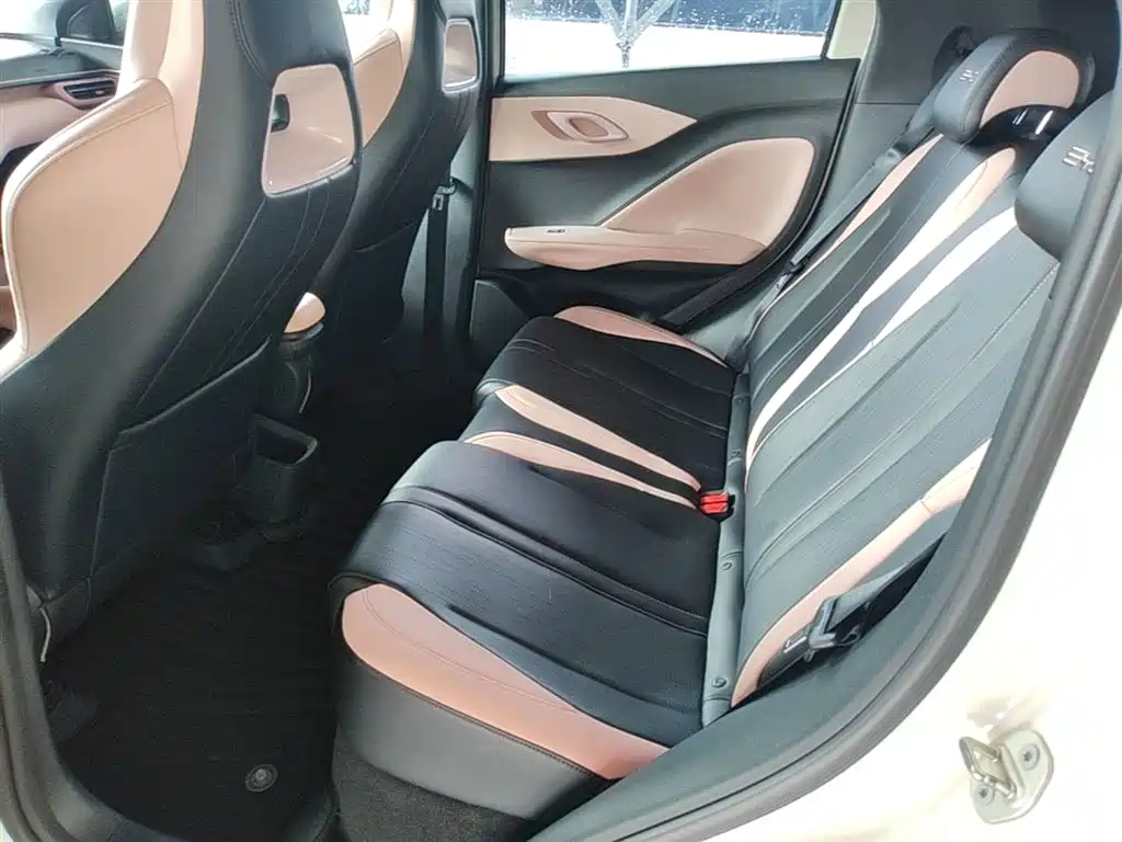BYD Seagull 2024 Glory Edition 305km Vitality Edition фото 17
