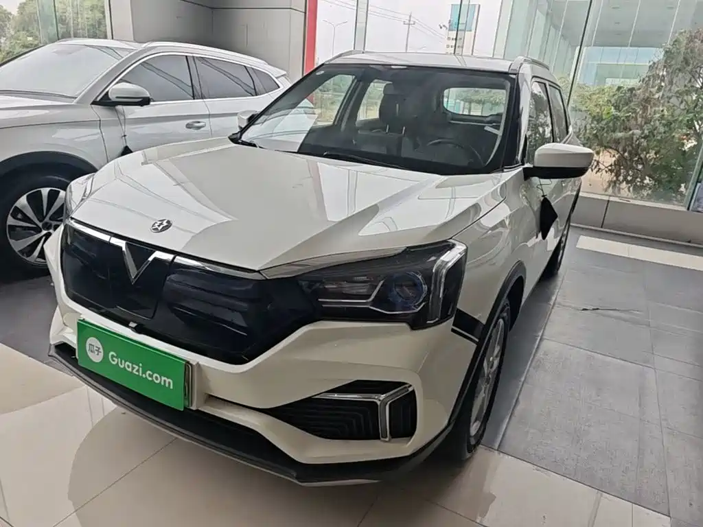 Фото 2 - Venucia T60EV