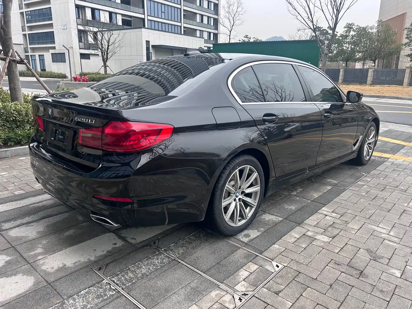 BMW 5 Series 2018 528Li Launch Special Edition фото 6