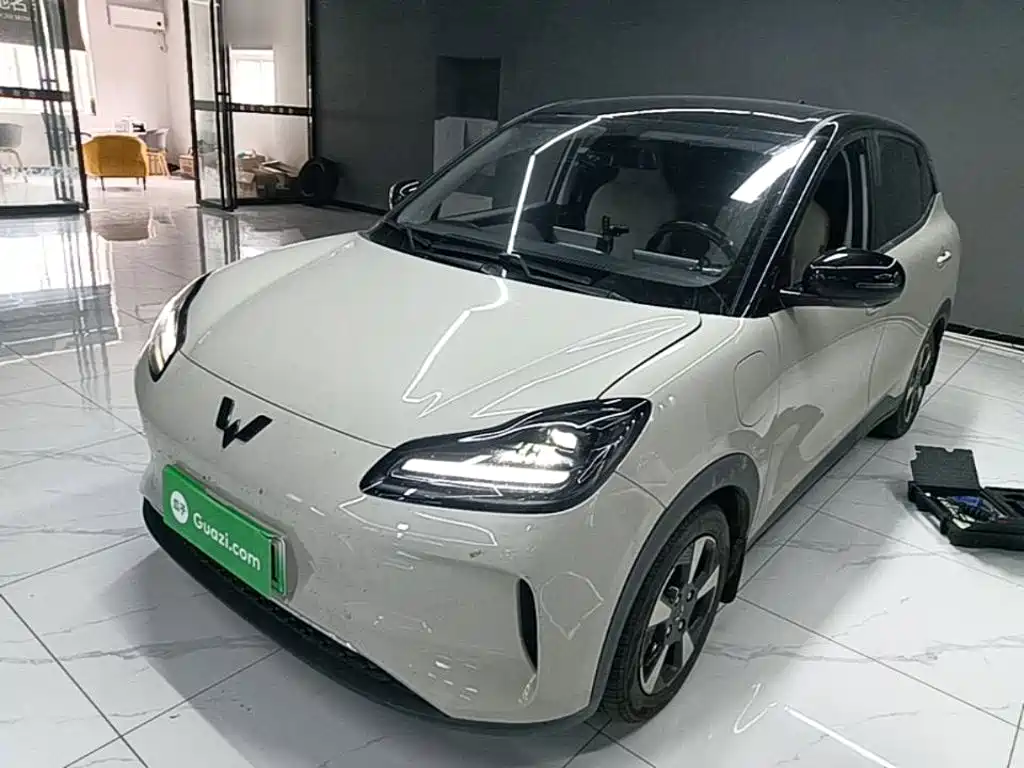 Wuling Motors Wuling Binguo PLUS 2024 2024 Model 330km 5-Seater