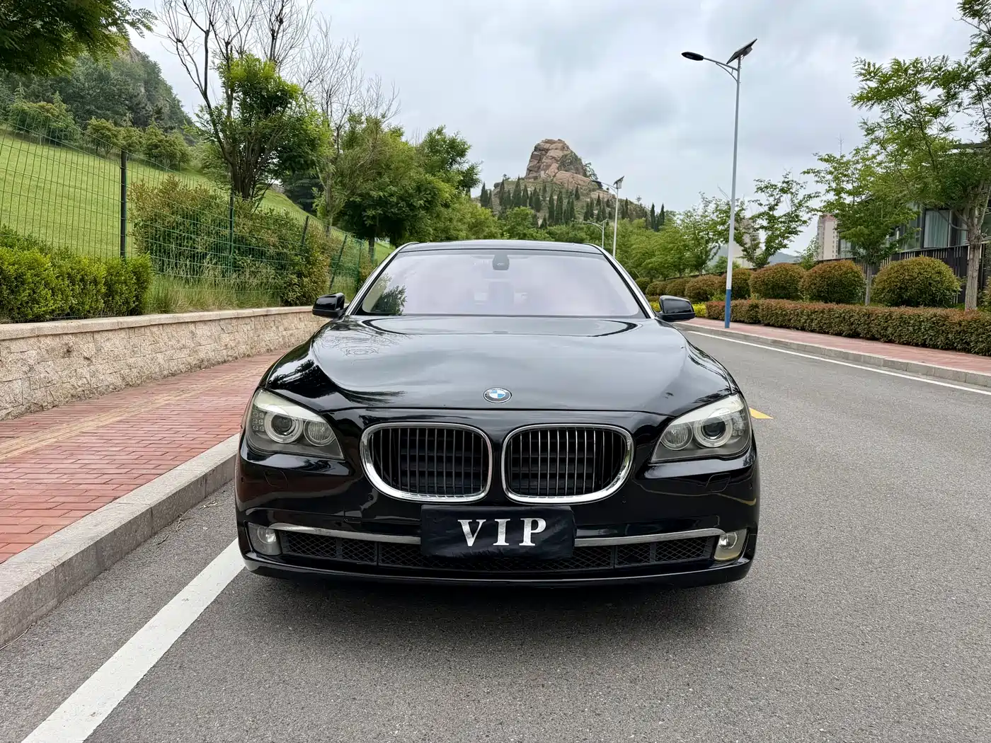 BMW 7 Series 2011 730Li Elegance фото 2
