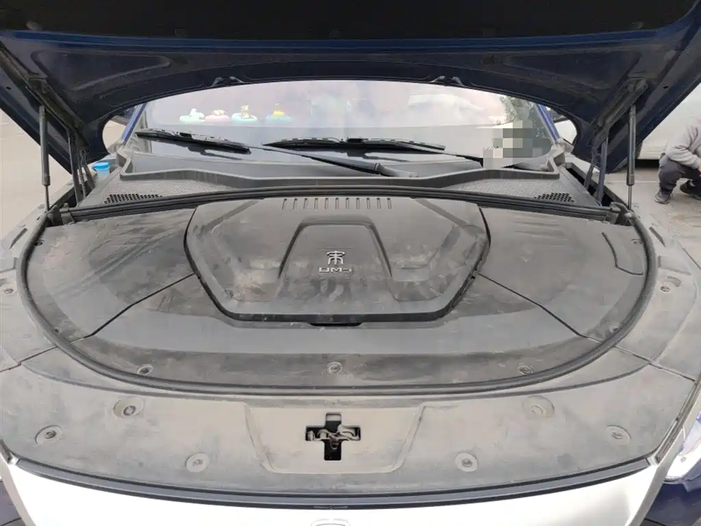 BYD Song PLUS PHEV 2021 DM-i 110KM Flagship PLUS фото 11