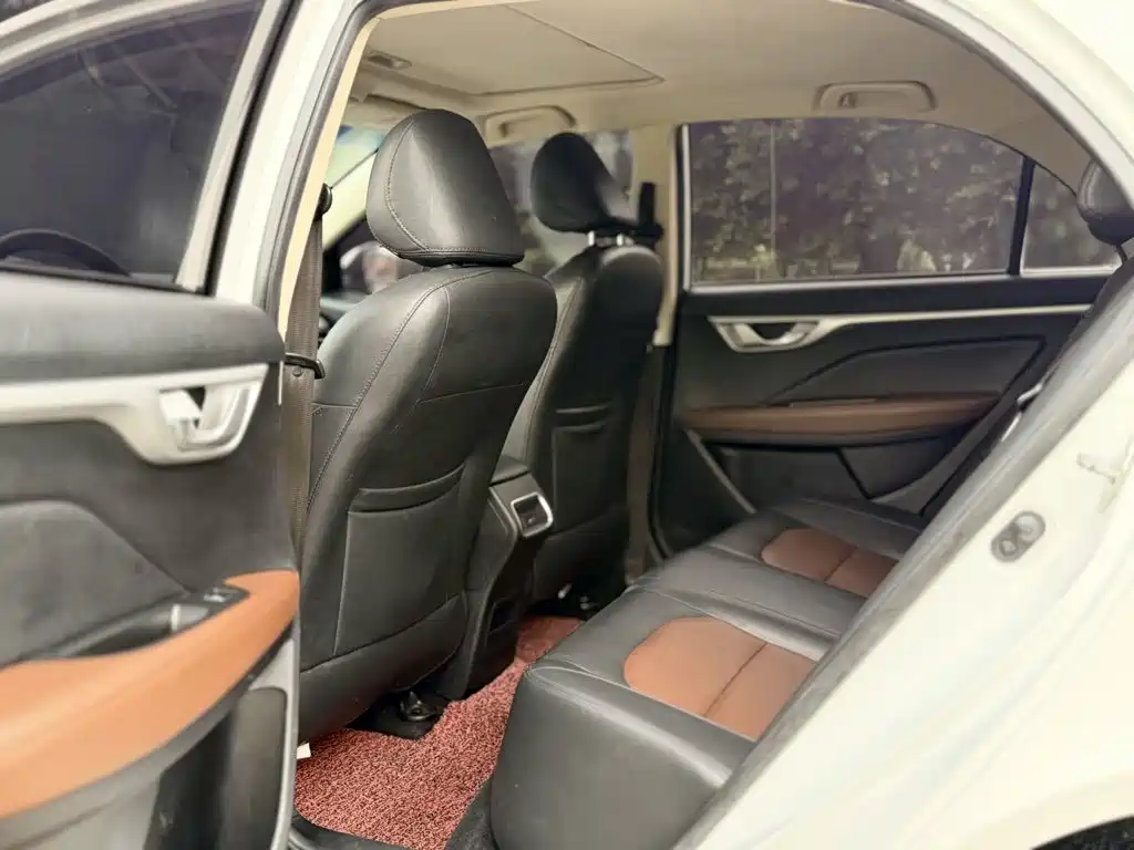 Фото 17 - Geely Vision