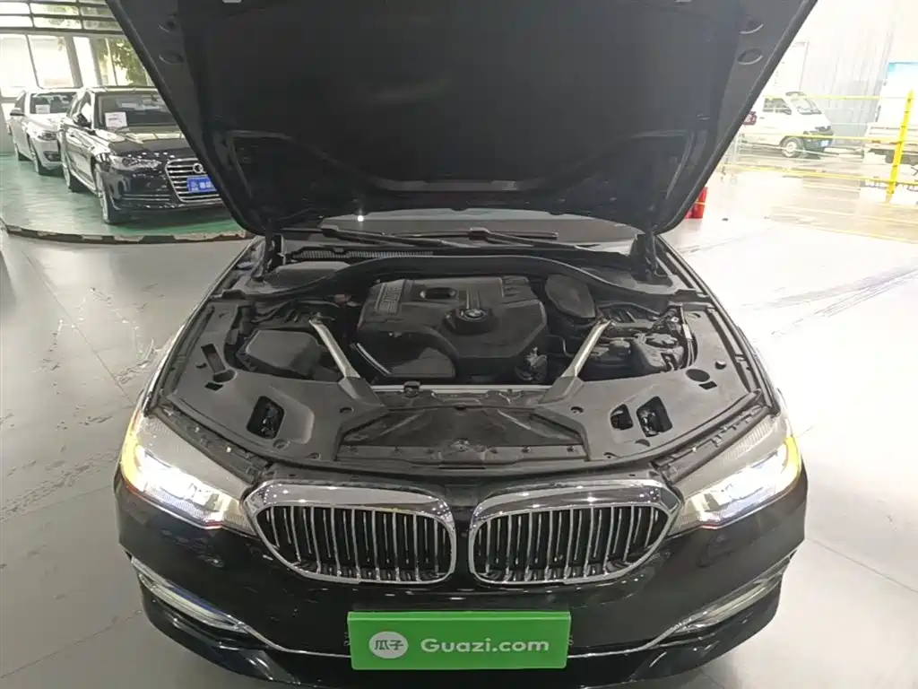 BMW 5 Series 2018 525Li Luxury Package фото 20