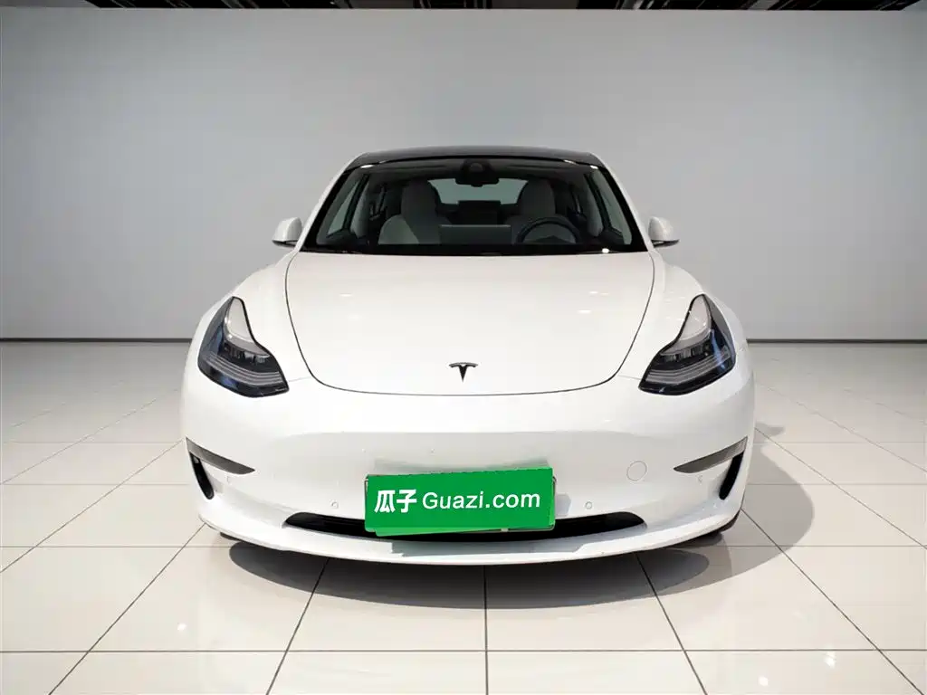 Tesla Model 3 (Import) 2019 2019 Long Range RWD Version