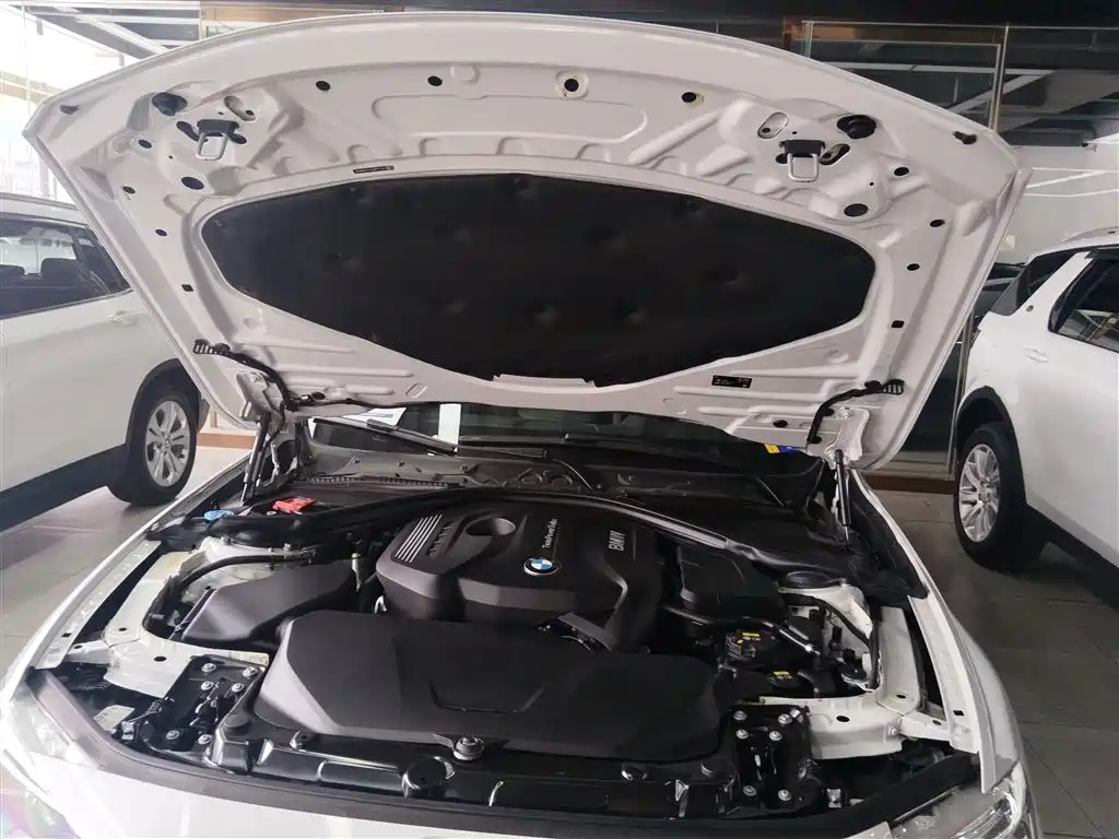BMW 3 Series 2019 320Li Fashion Type фото 20
