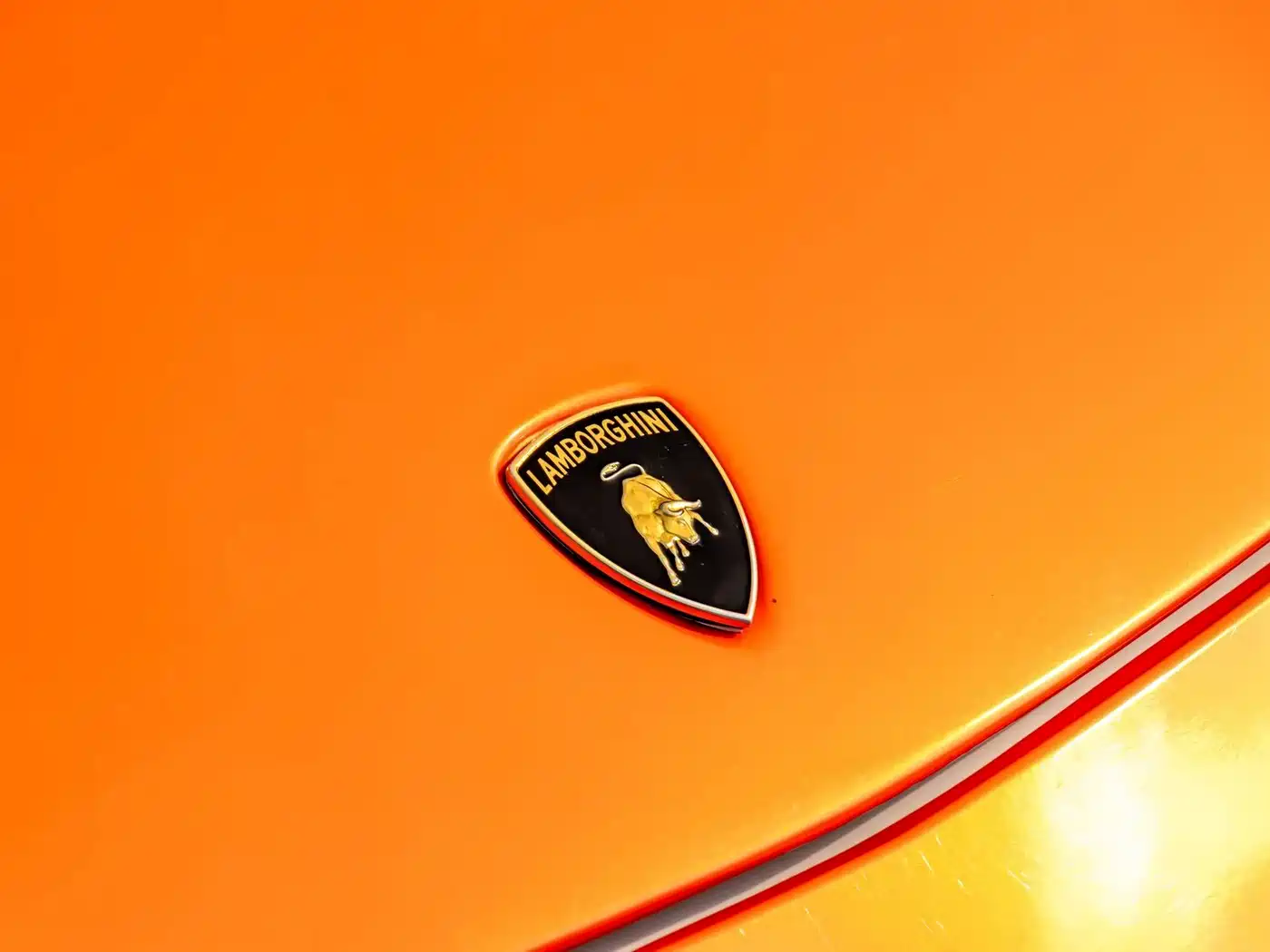 Photo 8 - Lamborghini Gallardo