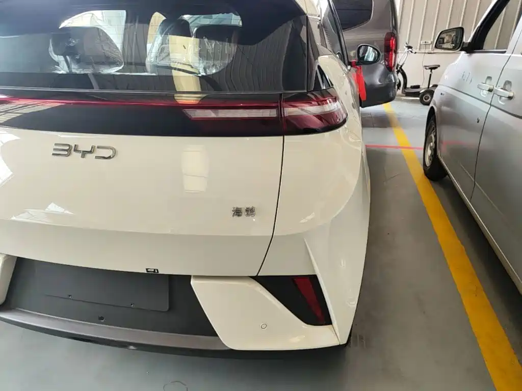 BYD Seagull 2026 2025 Smart Drive Edition 305km Vitality Version