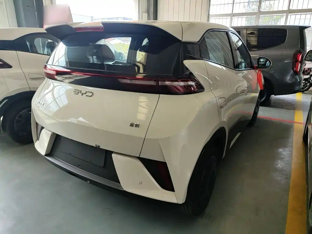 BYD Seagull 2026 2025 Smart Drive Edition 305km Vitality Version