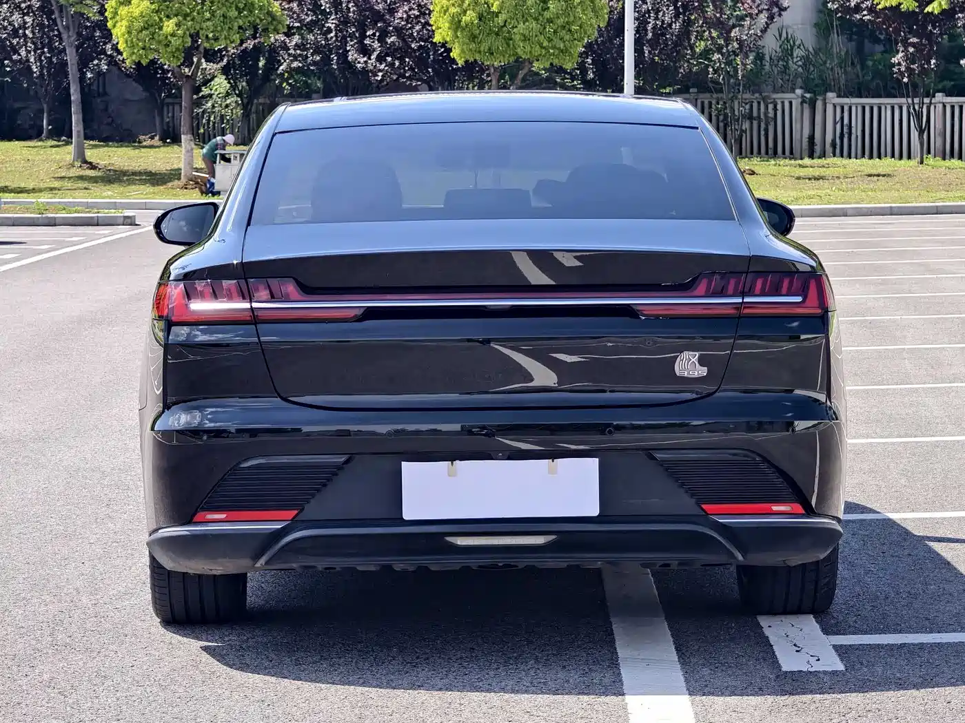 BYD Han 2020 EV AWD High-Performance Flagship фото 22