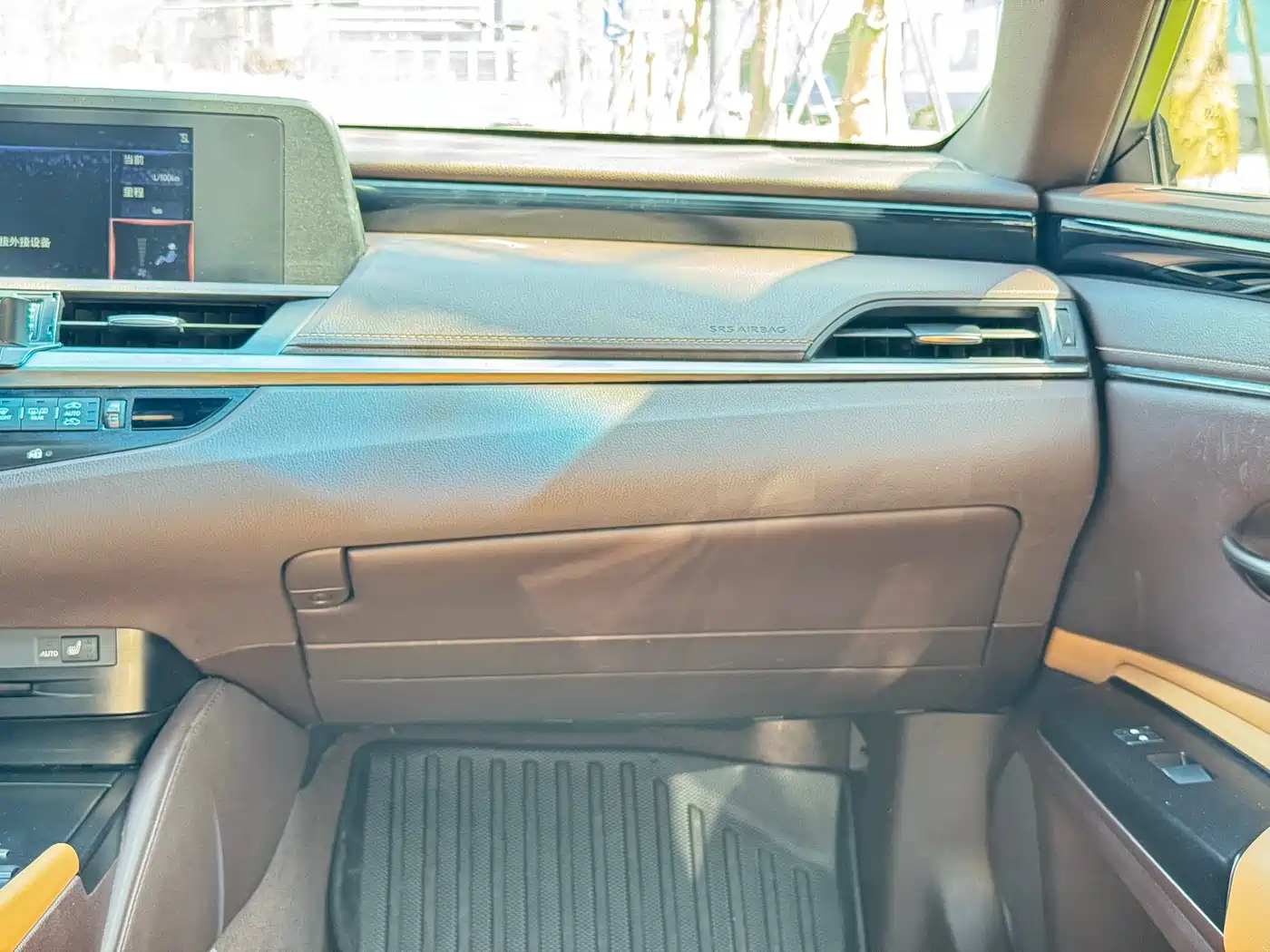 Lexus ES 2020 Model 300h Excellence Edition China V фото 21