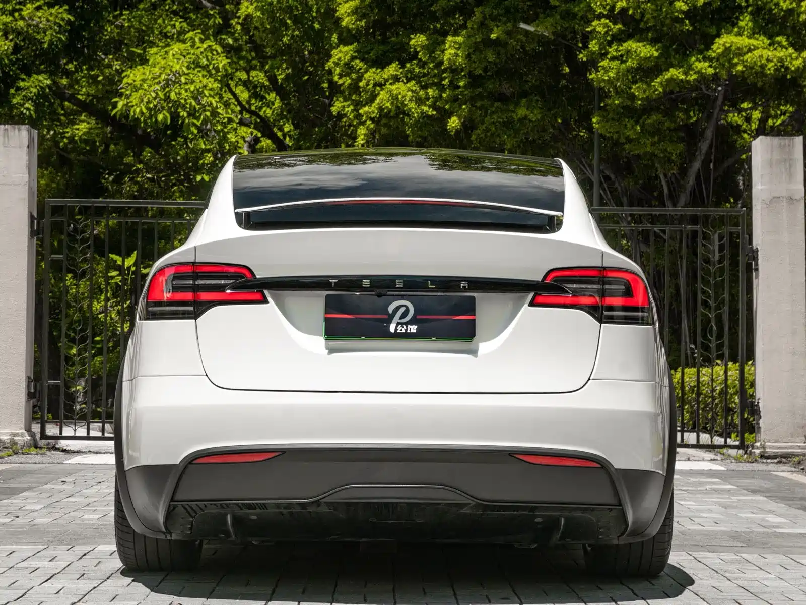 Фото 5 - Tesla Model X