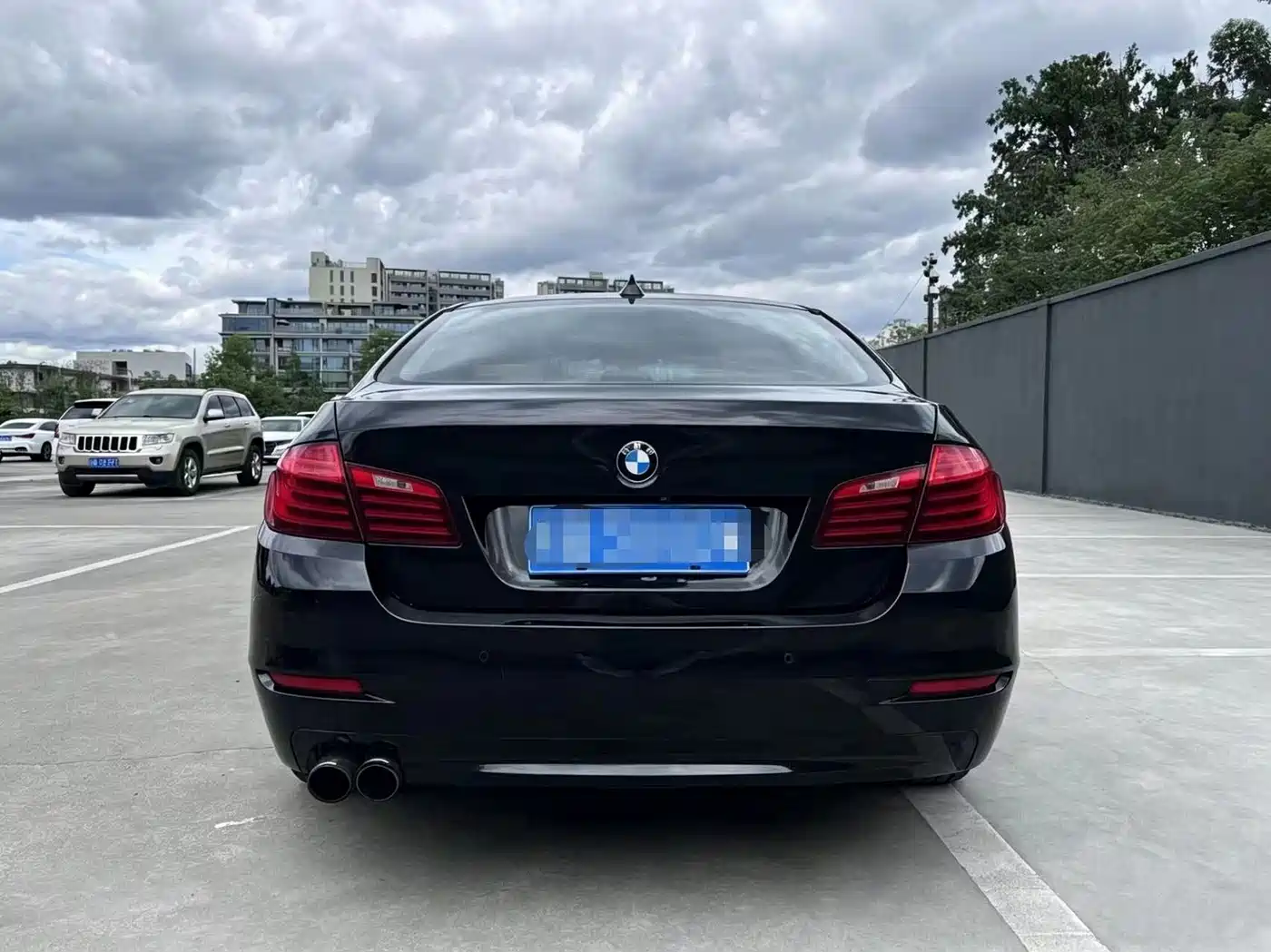 BMW 5 Series 2014 520Li Elegance фото 5