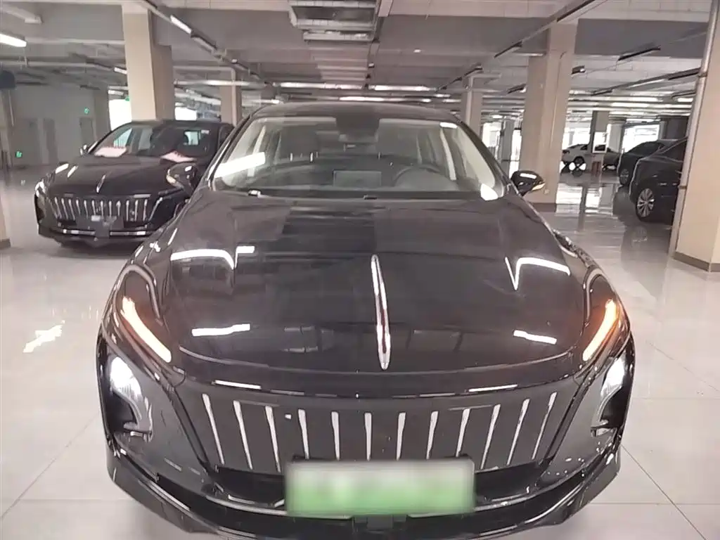 Hongqi E-QM5 2023 Facelift Basic Travel Edition фото 3