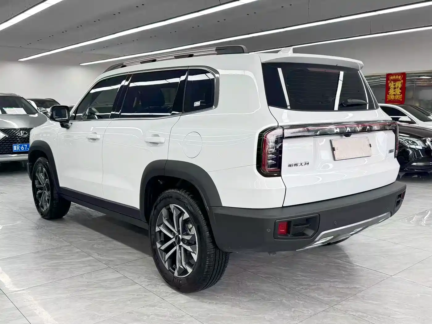 Haval Big Dog 2025 2024 1.5T DCT Border Collie Edition