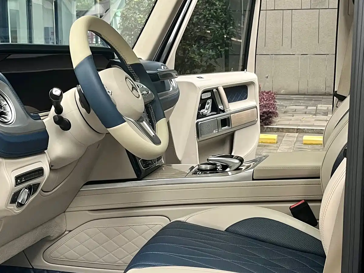 Mercedes-Benz G-Class 2020 G 500 Time Inscription Special Edition фото 12