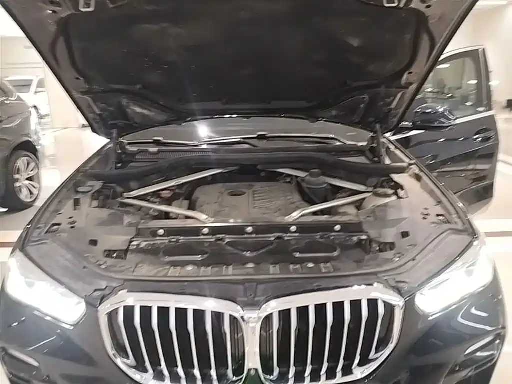 BMW X5 (Import) 2019 xDrive40i Exclusive M Sport Package фото 20