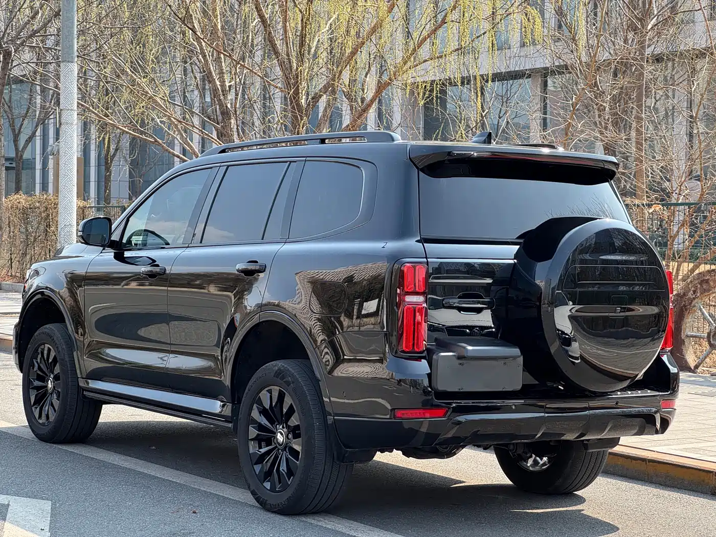 Tank 500 EV 2024 Hi4-T Black Warrior Edition фото 30