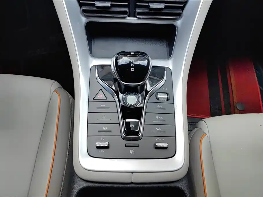 BYD Song Pro New Energy 2024 Glory Edition DM-i 71KM Pilot фото 16