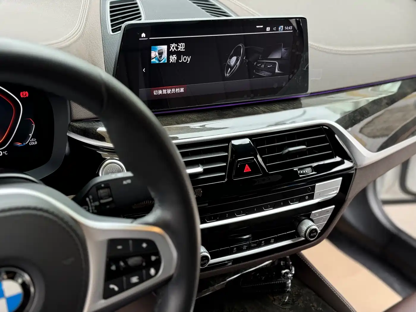 BMW 5 Series 2020 525Li M Sport Package фото 15