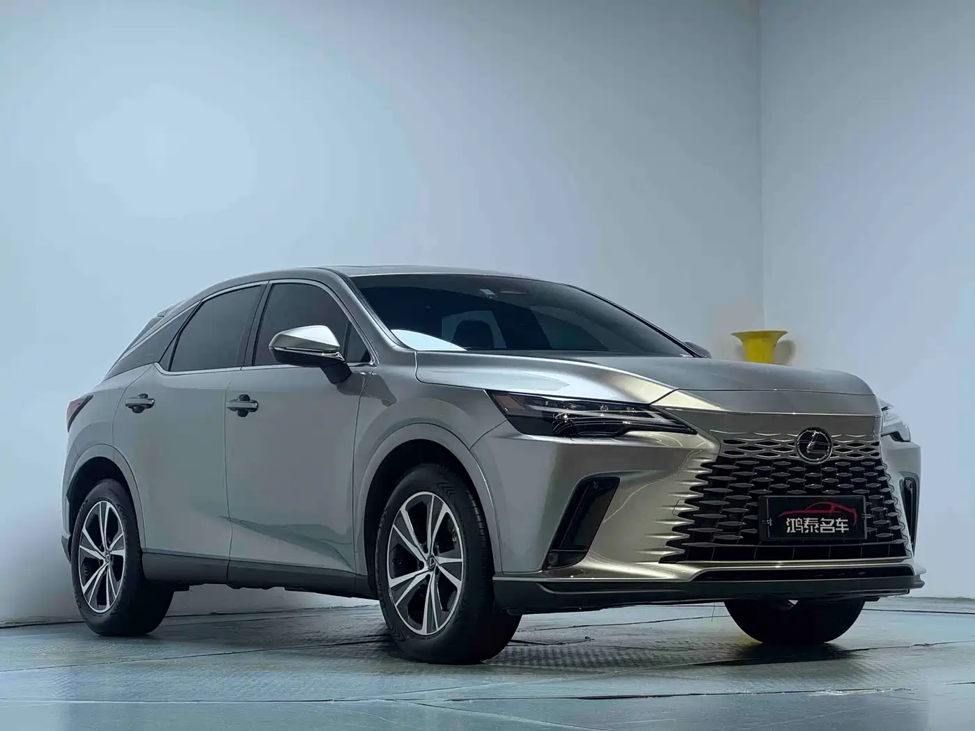 Фото 4 - Lexus RX