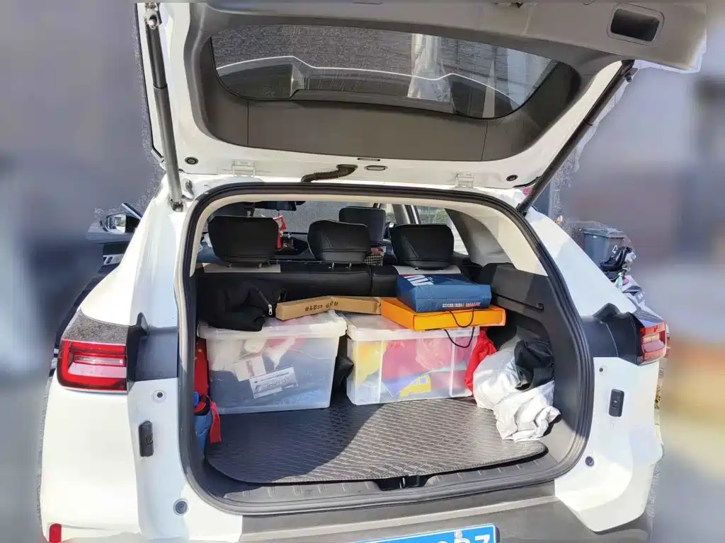 Dongfeng Aeolus Haoji 2024 2024 Mach Power 1.5T Premium