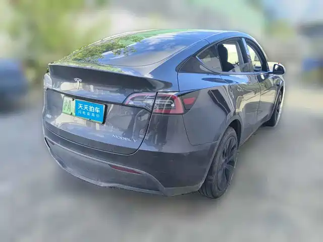 Tesla Model Y 2024 Rear-Wheel Drive Version — фото 2