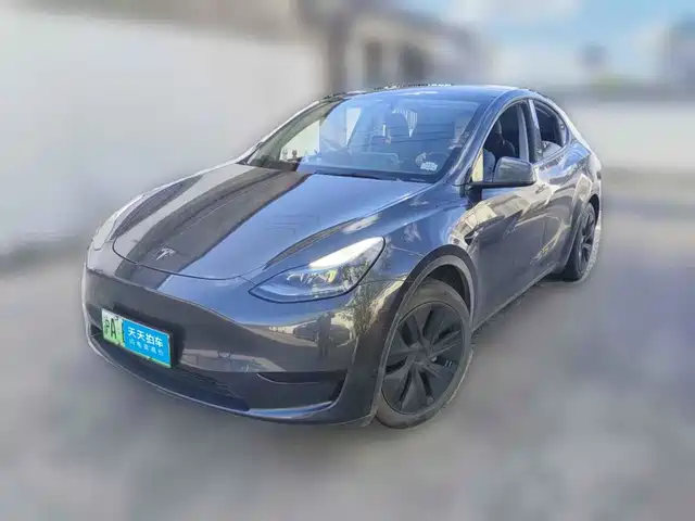 Tesla Model Y 2024 Rear-Wheel Drive Version — фото 1