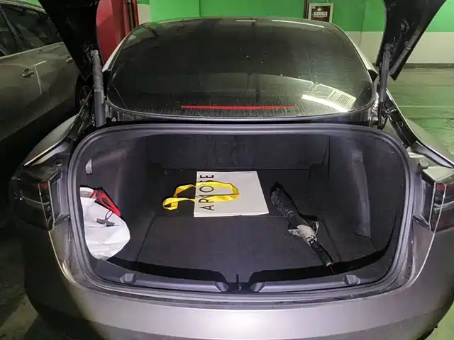Tesla Model 3 2021 Standard Range Rear-Wheel Drive Upgrade 3D6 — фото 5