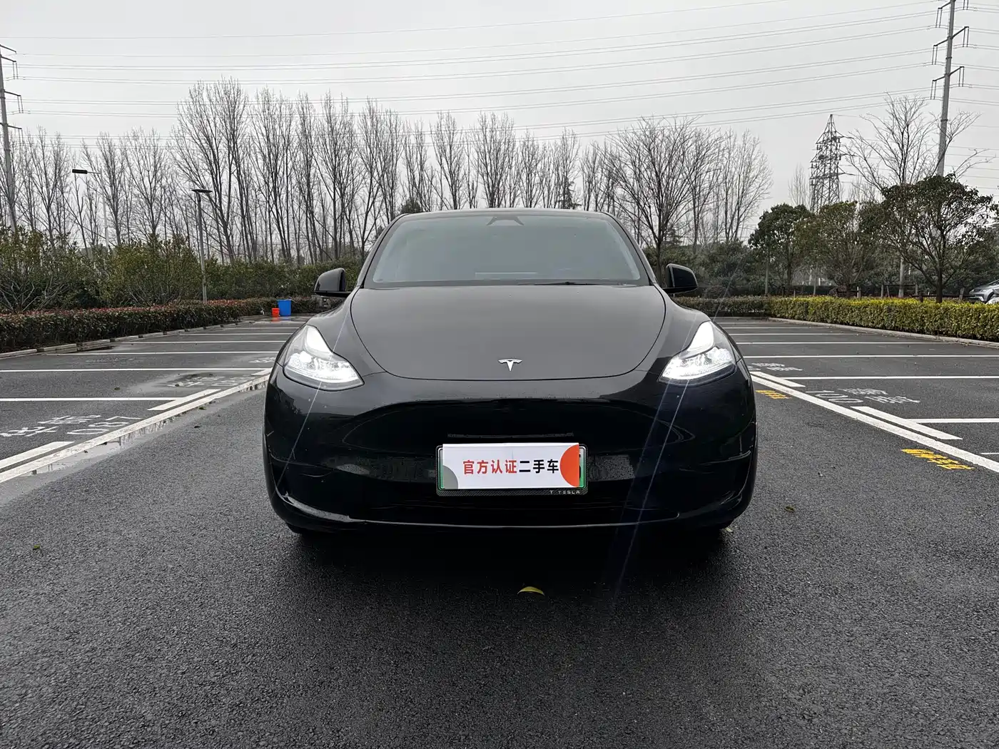 TESLA MODEL Y