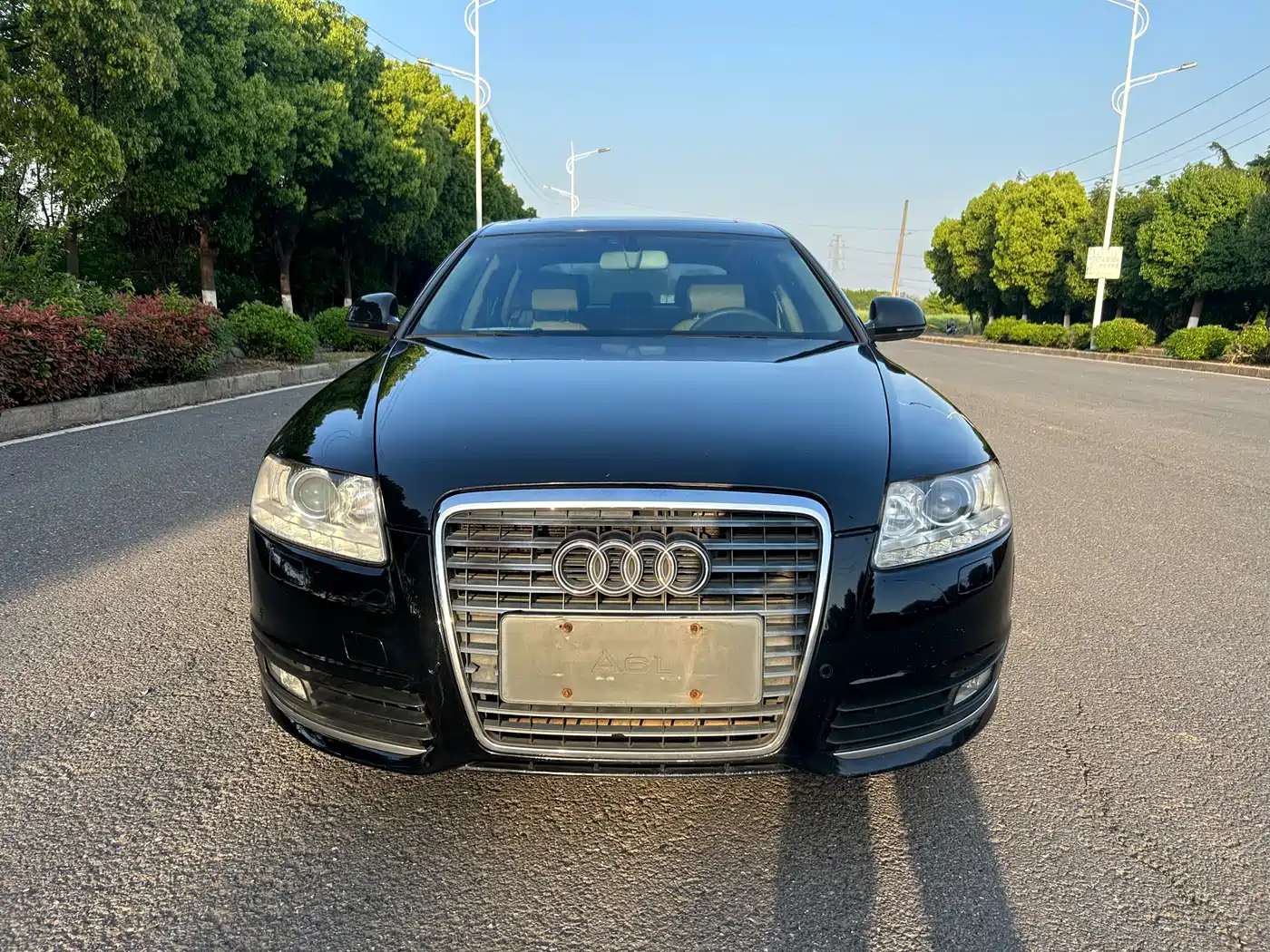 Audi A6L 2009 2.0 TFSI Automatic Standard фото 2