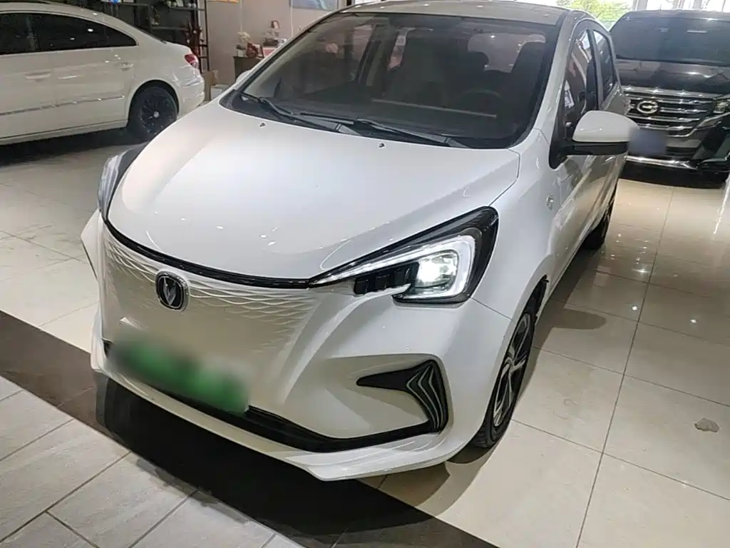 Changan Benben E-Star 2022 2020 Heartbeat Edition (NMC Battery)