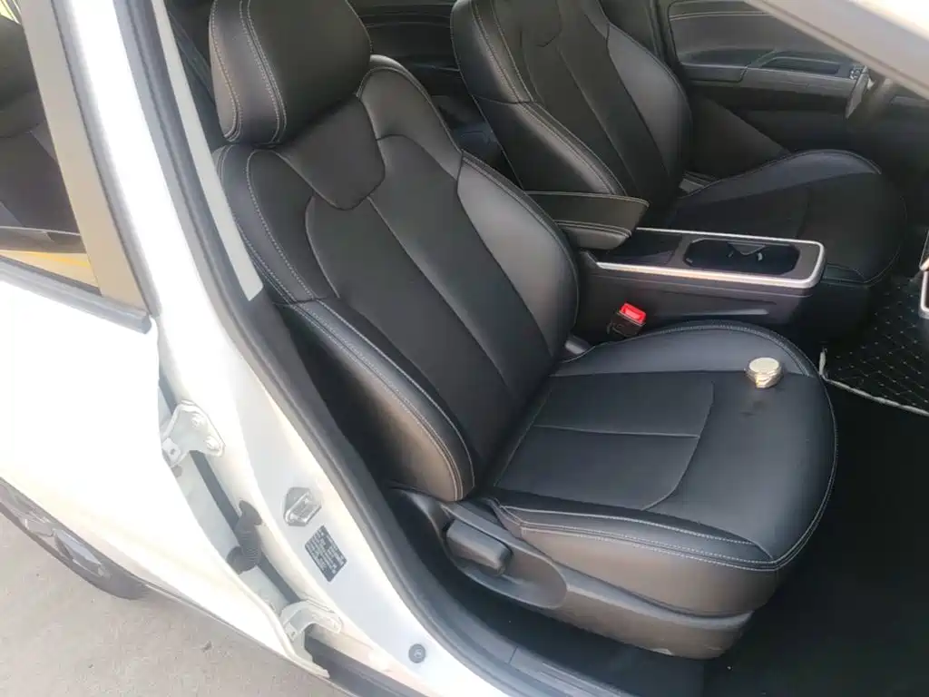 Nezha Auto Nezha V 2023 2022 Trend 300 Lite LFP