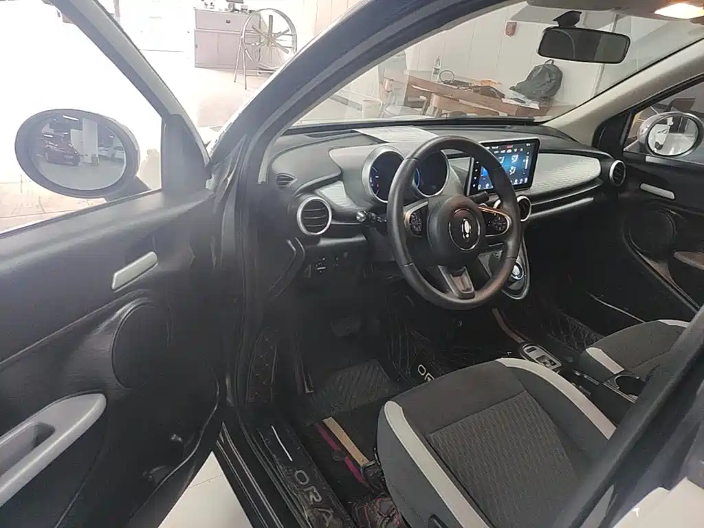 Ora Black Cat 2021 2021 301km Pet Edition