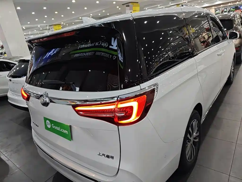 Buick GL8 2023 ES Landmaster Exclusive фото 6